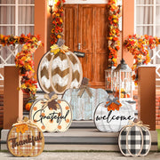 Moucuny front packaging showing six pumpkin signs and autumn appeal