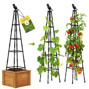 MQHUAYU front view of assembled obelisk trellis showing sturdy support and ornamental shape