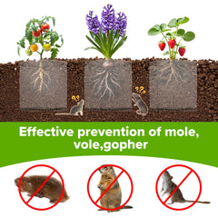 MQJIAZHI buried basket installed underground protecting roots from gophers