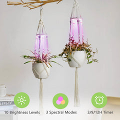 MSFON hanger with potted plant in living room offering space-saving display