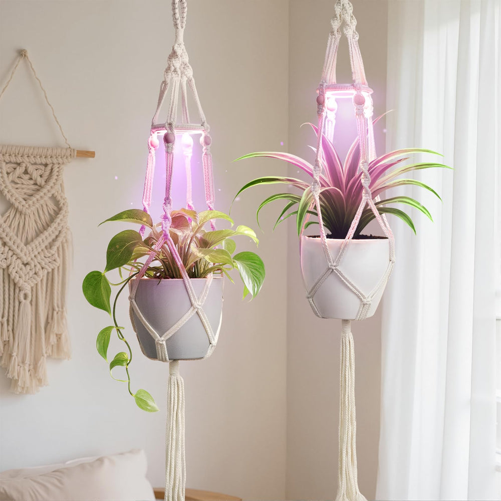 MSFON macrame hanger front view showing boho texture and neat plant display