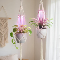 MSFON macrame hanger front view showing boho texture and neat plant display