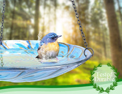 MUMTOP bird in bath action illustrating bird-friendly shallow design