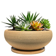 MUZHI front view showing pot shape and rustic style, enhances decor
