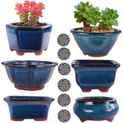 MUZHI front view blue six-pack bonsai pots showing variety and curb appeal