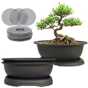 MUZHI front view of three oval bonsai pots showing clean matte finish and form benefits