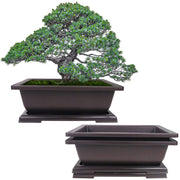 MUZHI front view of three brown rectangular planters showing set and trays, convenient for display