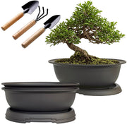 MUZHI oval bonsai pots front view showing set of three and trays for neat display