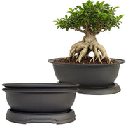 MUZHI front view of oval pot showing shape and matte finish for neat displays