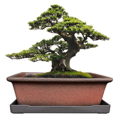 MUZHI rectangle planter front view showing clean lines and red-brown clay