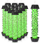 Mysora front packaging showing 12 sticky fly traps and clear benefits