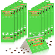 Mysora front packaging showing 10 pack and product benefits