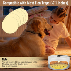 Mysora glue board installed in a compatible flea trap demonstrating fit