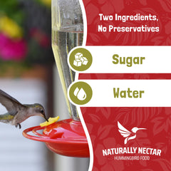 NATURALLY NECTAR next to feeder for scale showing 16 oz can and easy fill