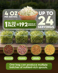 Nature Jims Sprouts broccoli sprouts detail showcasing tender green shoots