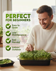 Nature Jims Sprouts jar sprouter in use demonstrating easy home sprouting