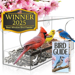 Nature's Hangout feeder front view showing clear acrylic and large tray benefit