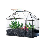NCYP front geometric terrarium showing modern display benefit