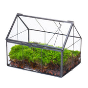 NCYP front view of house-shaped terrarium showing clean geometric display and modern style
