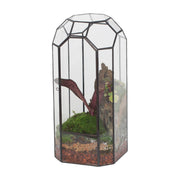NCYP terrarium front view showing octagon shape and clear glass for elegant display
