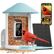 NETVUE by Birdfy front view showing camera and feeder, clear monitoring