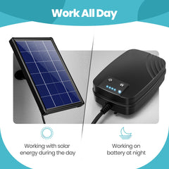 NFESOLAR two air stones and tubing detail delivering even oxygen distribution
