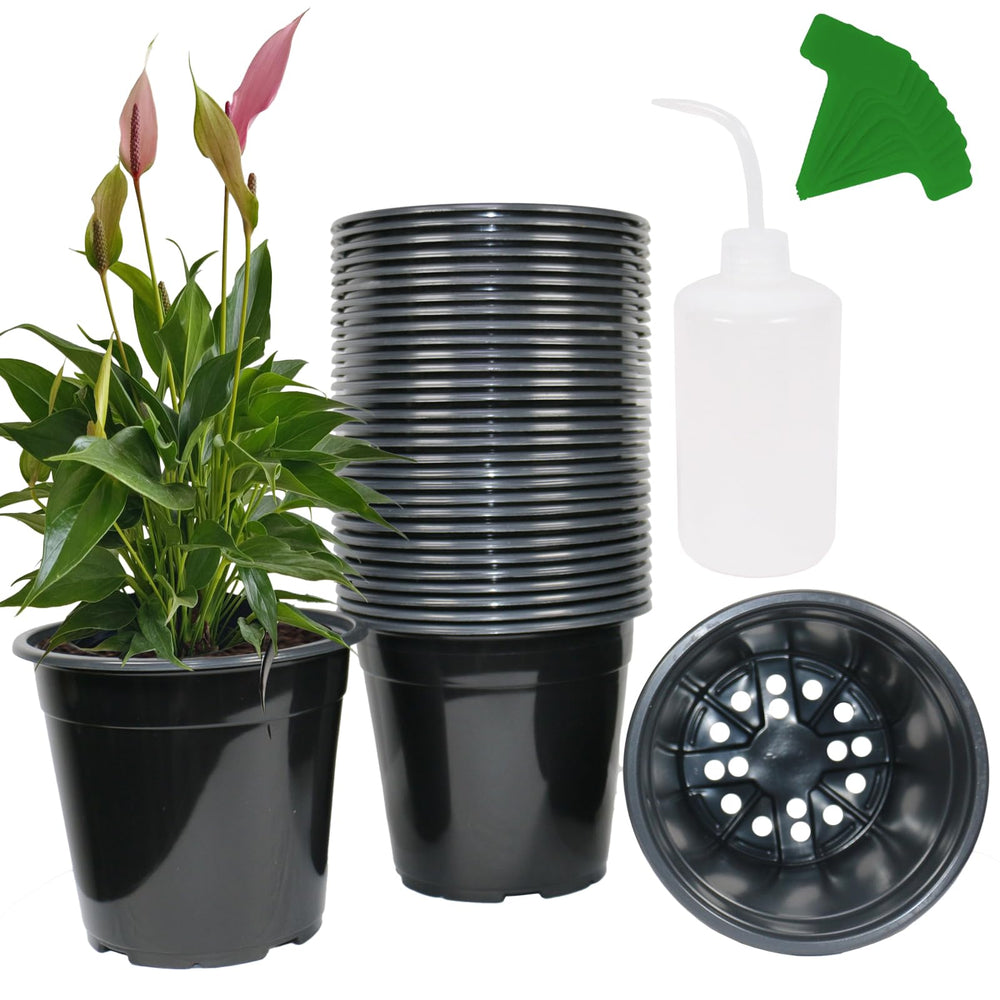 Niiiice front view of 32-pack pots showing organized set and convenience
