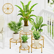 NQW front view of five gold plant stands showing tiered styling benefit