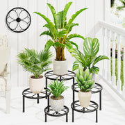 NQW front view of five black plant stands showing tiered display and cohesive styling
