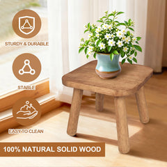 NtrlQidu stool holding a potted plant to elevate indoor greenery and decor
