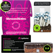 NuBlume front packaging showing kit components and fast-start benefit