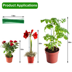 Numyew stakes installed in a potted tomato plant providing upright support and healthy growth