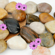 NUPICK front packaging showing 3lb bag and natural pebbles benefit: clear product info