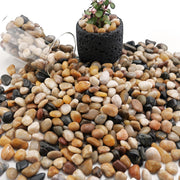 NUPICK front packaging showing 6lb bag and mixed pebbles for easy identification