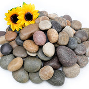 NUPICK front packaging showing 6lb bag and mixed pebbles for landscaping benefit