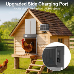 NyPots door open with chickens using larger entrance for easier access