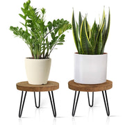 OBTAIN plant stand front view showing paired heights and balanced display benefit