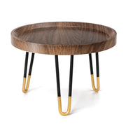 OBTAIN plant stand front view showing walnut color and modern silhouette benefits display