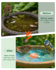 OICEME disc resting in a glass birdbath promoting cleaner water visibility