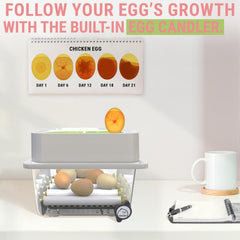 OKKÖBI candling lamp in use allowing embryo checks without disturbance