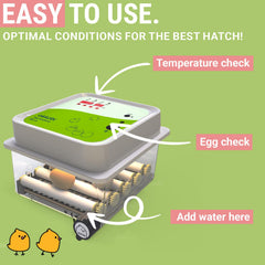 OKKÖBI egg rack detail with automatic turner ensuring even development