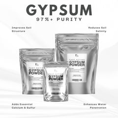 close-up of Olympus Myco gypsum powder texture for easy mixing benefit