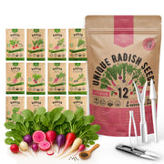 Organo Republic front packaging showing variety pack, clear labeling, high value