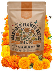 Organo Republic seed packet front showing branding and benefits