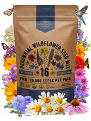 Organo Republic packet front showing label and seed quantity, clear planting info