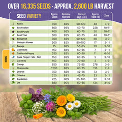 Organo Republic raised bed full of herbs illustrating abundant outdoor harvests