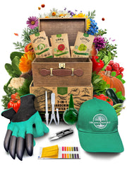 Organo Republic wooden storage box showing organized seed packets and neat arrangement benefit