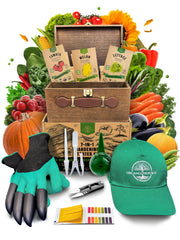 Organo Republic wooden seed box neatly organized for easy access and gifting
