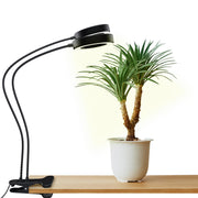 OSANI front view of 24-inch grow light showing full-spectrum LEDs and clip for precise lighting benefit