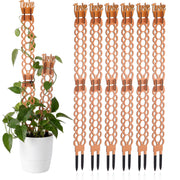 Otoolling front view of six wooden trellises showing natural finish and set benefit